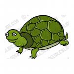 Tortoise clipart