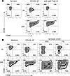 Rapid downregulation of surface CD40 in B cells activated by CD40 ligand (C