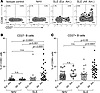 Increased frequency of CD86 + B cells in African Americ