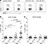 Higher frequencies of CD40 ligand (CD40L) + B cells in