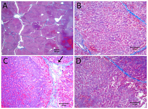 Details from Fig. 4.