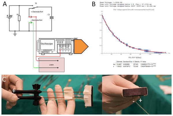 (A) Generator and data acquisition schematic. (B) An illustrative waveform applied in pig liver for 1,000 V and a time constant of 37 ms including statistical details of the measurement and fit from the DAC. (C) Needle configuration.