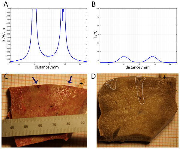 Study with an EDW with initial voltage difference between electrodes of 750 V and various time constants.