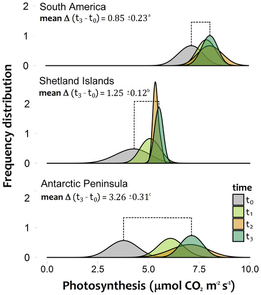 Frequency distribution of the photosynthetic response of Colobanthus quitensis individuals from three different origins (South America 53.5°S, Shetland Islands 62.1°S and Antarctic Peninsula 67.5°S).