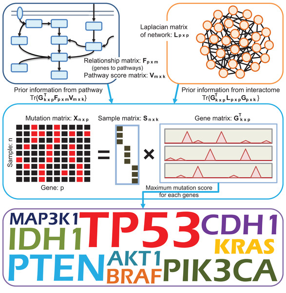 A schematic diagram providing an overview of DGPathinter.