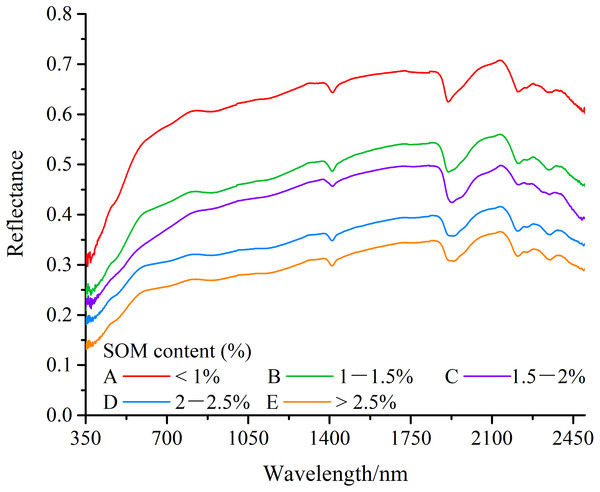 Spectral reflectance of different wetland soil organic carbon contents.