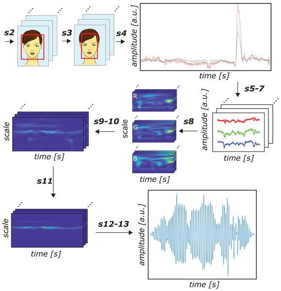 Schematic representation of the proposed SB-CWT method.