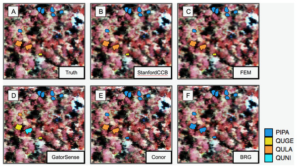 Performance of species classification in a plot that is relatively diverse in species composition.