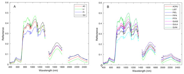 Average spectral signature of (A) all genera and (B) all species, colored by genera.