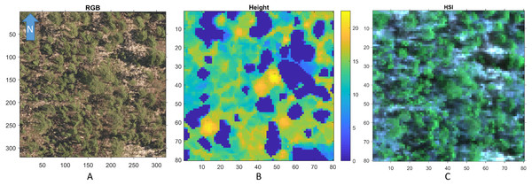 An example RGB (A), LiDAR (B), and (the RGB image generated from the corresponding) Hyperspectral image (C) of a region in OSBS.