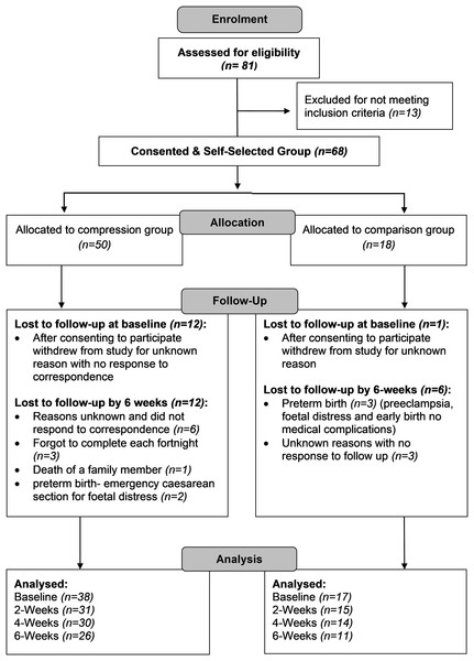 Participant flow diagram.