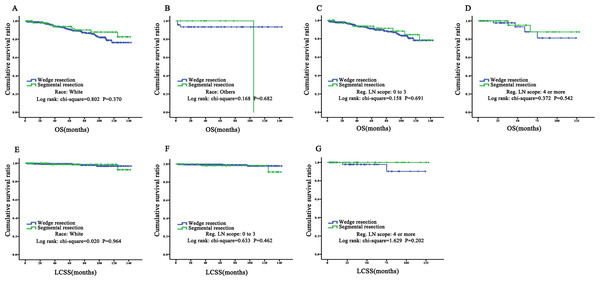 Prognostic analysis for subgroup of race and Scope of Regional Lymph Node by KM plots.