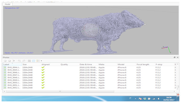 Results from the dense point cloud of the Charolaise bull.