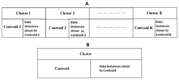 (A) K-cluster representation of a spider; (B) single cluster representation of a spider.