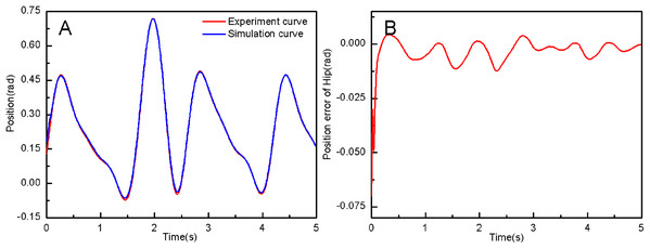 (A) The hip joint position tracking based on RAPDC. (B) Position error of hip.