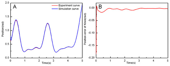 (A) The knee joint position tracking based on RAPDC. (B) Position error of knee.