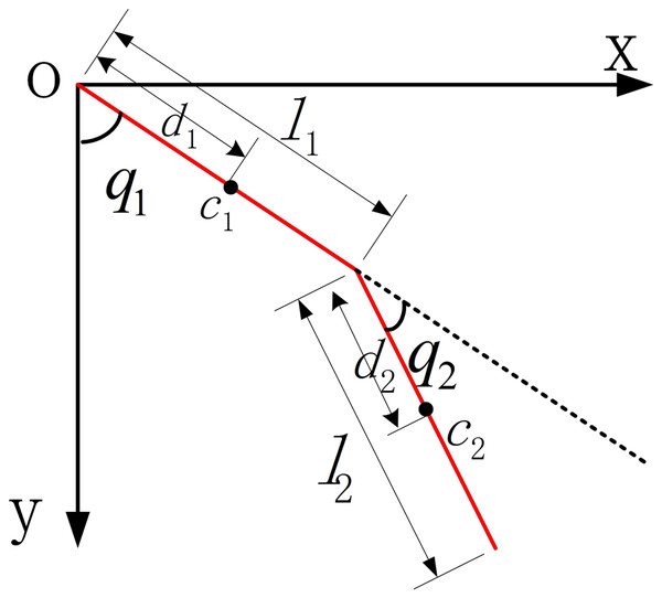 The dynamic model of LLRR.