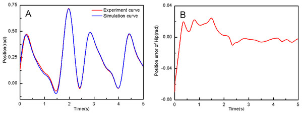 (A) The hip joint position tracking based on RAPC. (B) Position error of hip.