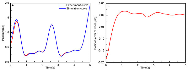 (A) The knee joint position tracking based on RAPC. (B) Position error of knee.