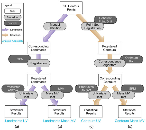 Overview of 2D contour data processing approaches employed in this paper.