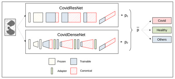 A schematic diagram for the ensemble prediction process for the three-class problem.