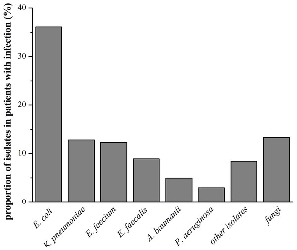 Characteristics of pathogens in patients with infection.