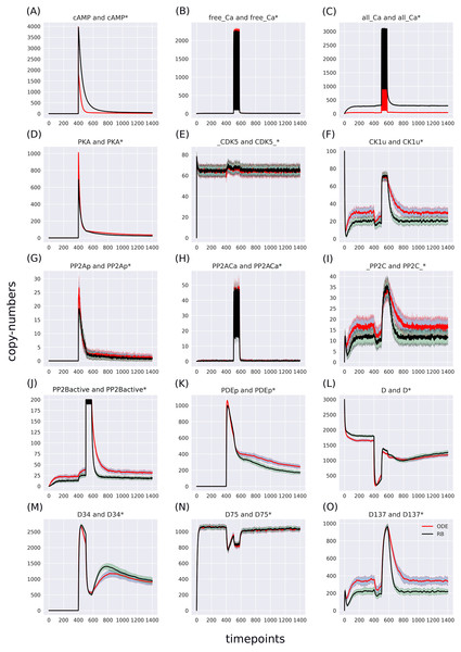 (A-O) Superimposed time courses of stochastic variants of the ODE and RB models in the baseline condition.