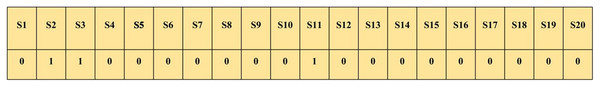 Binary coding representation of a chromosome.