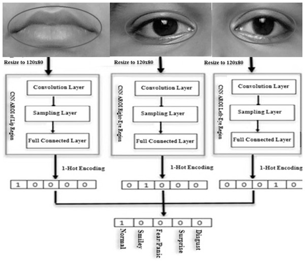 Schematic flow-diagram of learning features (feature-weight), expression classification and decision-tree-level synthesis method.