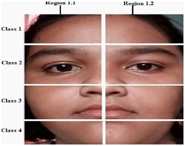 Face image is divided into four classes and eight regions.