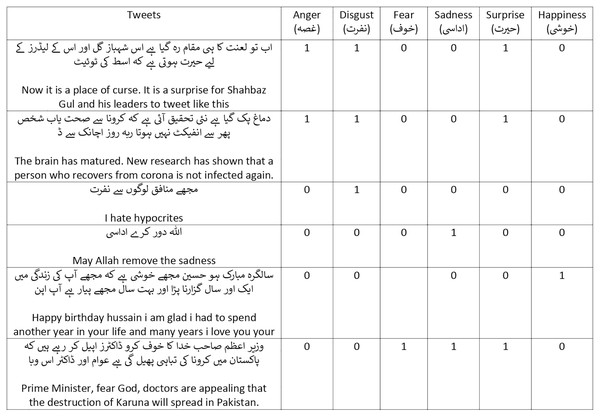 Examples in our dataset (translated by Google).