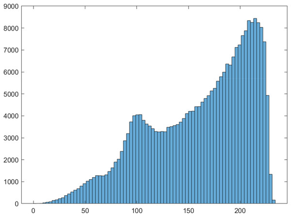 Histogram of San Diego aerial grayscale image.