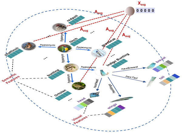 An example of augmentation knowledge graph (SVKGaug) about the finch.