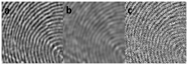 Fingerprint image samples for experiments: (A) Original sample; (B) blurred sample; (C) noisy sample.