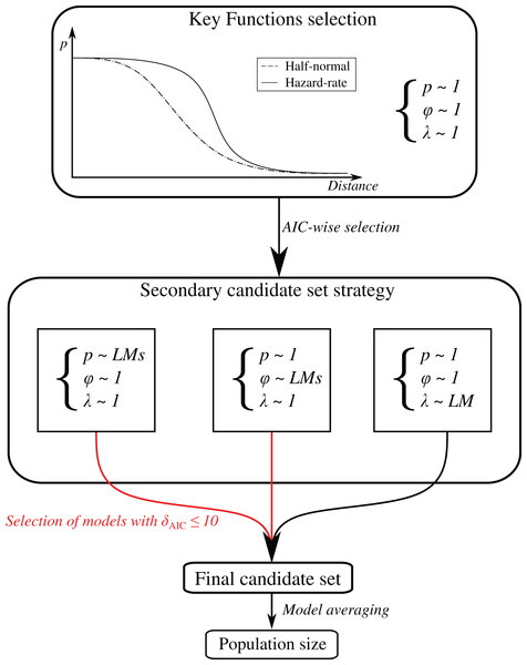 Methodological framework for population size estimation.