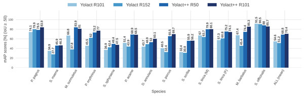 Per-class (per-species) average precision (AP, in %) for all IS module configurations tested (IoU 
$\ge 0.5$≥0.5
).