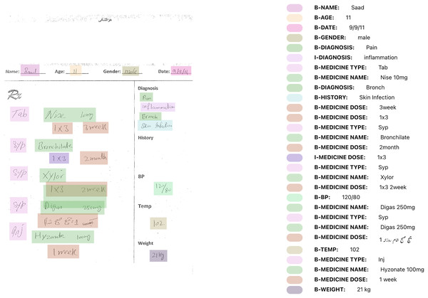 Inference of a synthetic bilingual handwritten medical prescription using MEDIGIZE.