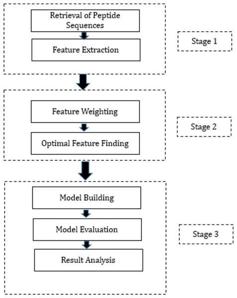 Proposed methodology.