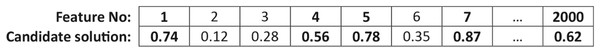 Encoding of a candidate solution.