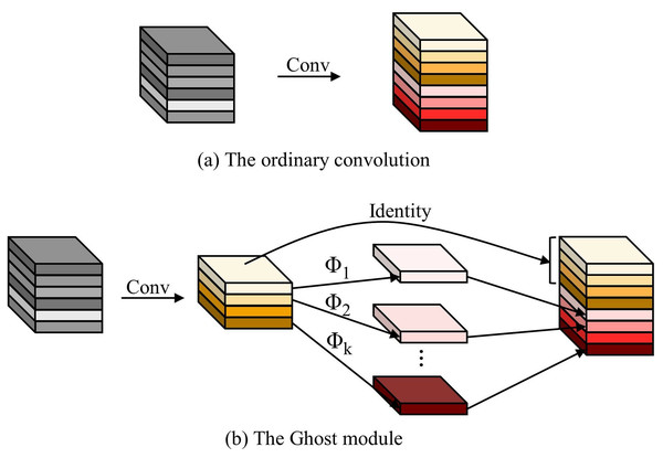 The ordinary convolution and the Ghost module.