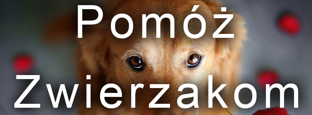 Pomoc zwierzakom