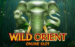 wild orient microgaming thumbnail 