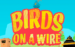 logo birds on a wire thunderkick 