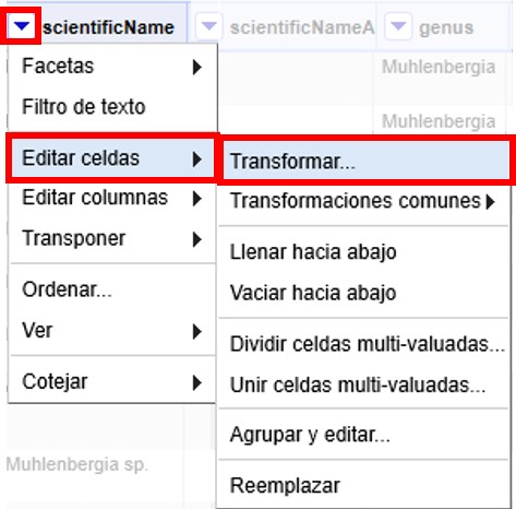 Figura 31