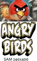 Angry Birds ECHTES FULLSCREEN 240x400