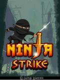 Ninja Strike