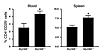 Decreased CD4+CD25+ T cell numbers in MyD88-deficient mice.