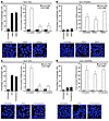 The effect of UPR-autophagy gene silencing on chemical inducer–mediated sup