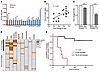 Combination immune checkpoint therapy correlates with development of IRAEs.