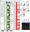 Impact of PU.1 nuclear retention by selinexor, or DNMT1 depletion by decita